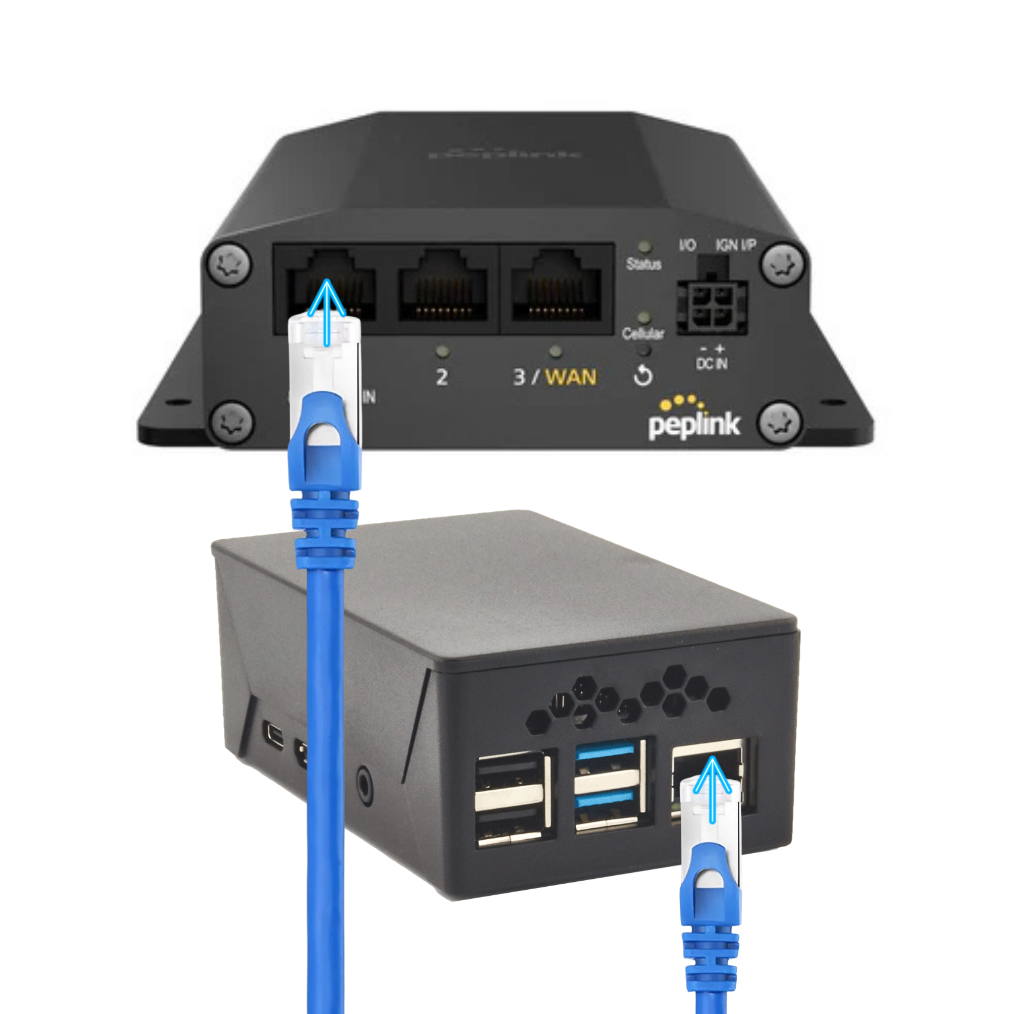 Untitled design (82).png